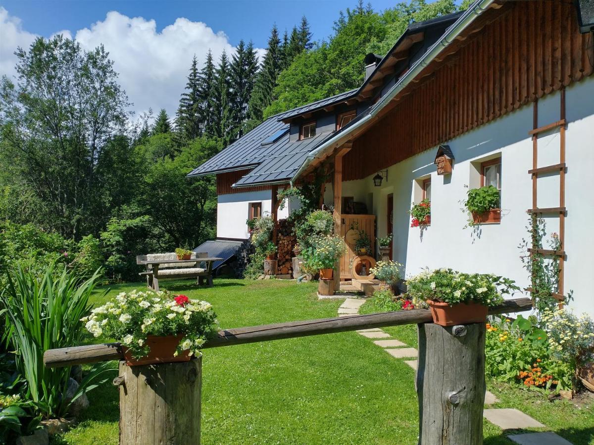Alm-House Hollmann Apartment Zelezna Ruda Exterior photo